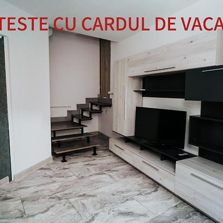 Apartment Attic Сибиу Экстерьер фото